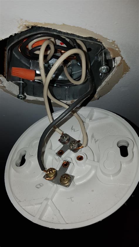 electrical box has two black and two white wires|electrical ceiling box wiring black.